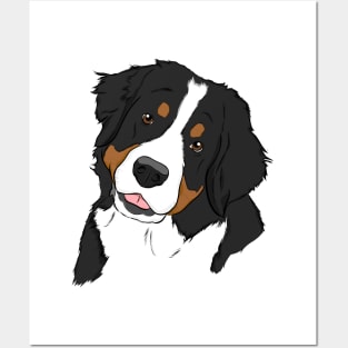 Bernese Mountain Dog Posters and Art
